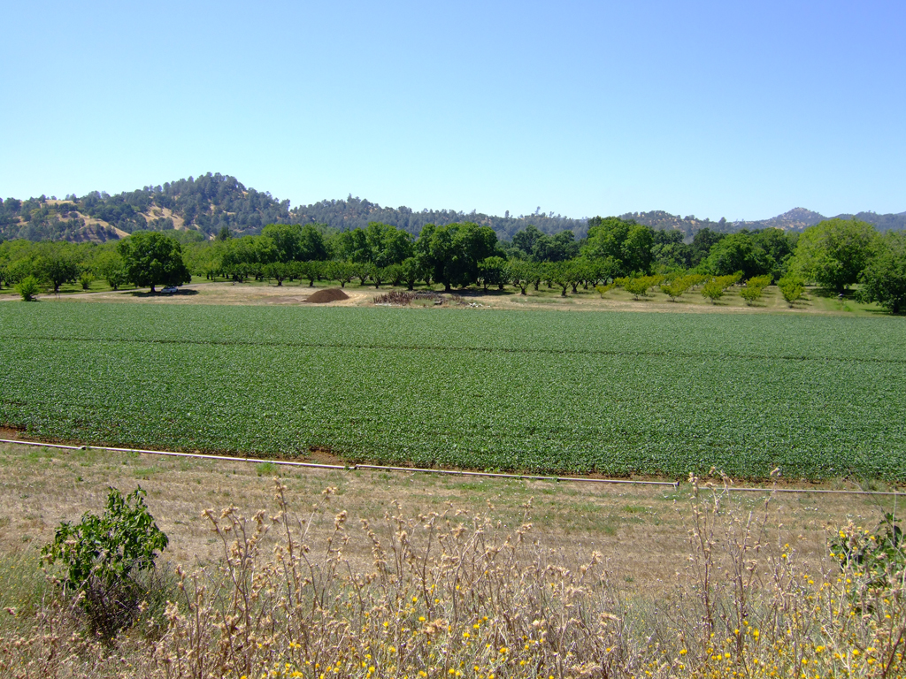 Terra Firma Farm